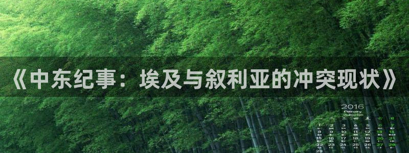 蓝鲸体育nba：《中东纪事：埃及与叙利亚的冲突现状》