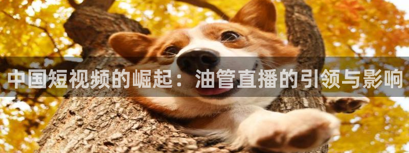 蓝鲸体育直播在线观看nba总决赛