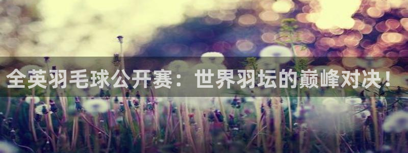 蓝鲸体育足球免费观看