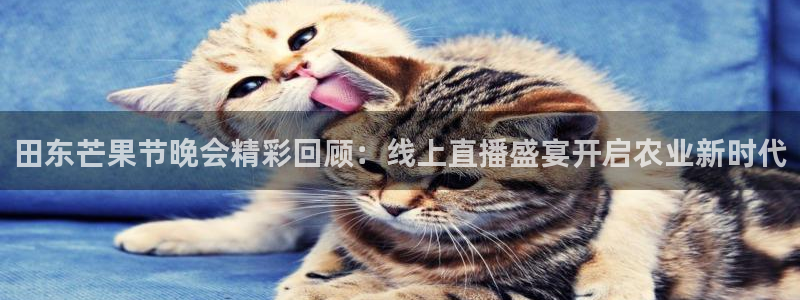 蓝鲸体育免费直播：田东芒果节晚会精彩回顾：线上直播盛宴开启农业新时代