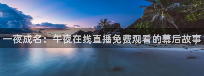 蓝鲸直播下载：一夜成名：午夜在线直播免费观看的幕后故事