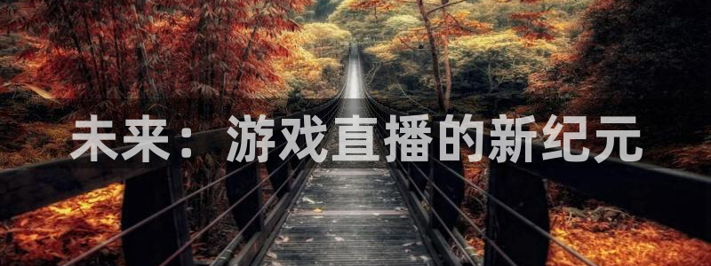 蓝鲸直播体育app：未来：游戏直播的新纪元