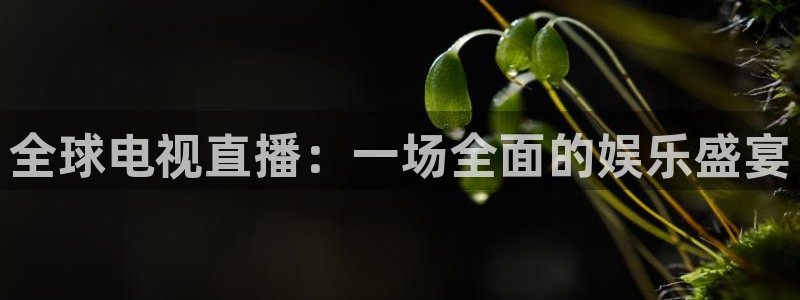 蓝鲸的视频