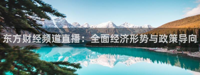 蓝鲸视频实拍