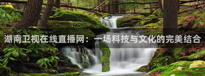 蓝鲸软件：湖南卫视在线直播网：一场科技与文化的完美结合