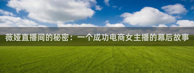 蓝鲸直播app ios：薇娅直播间的秘密：一个成功电商女主播的幕后故事